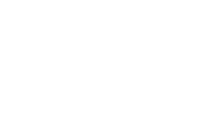 STEV